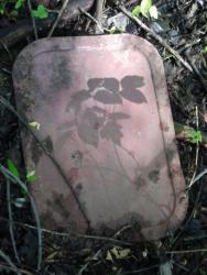 post-20472-0-06715000-1402058097_thumb.j