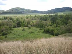 post-20472-0-39761700-1402058336_thumb.j