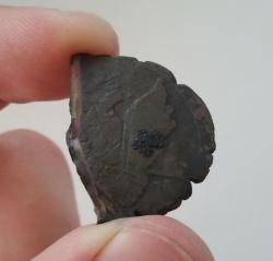 post-20472-0-55962800-1402634906_thumb.j