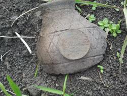 post-20472-0-90067400-1402634599_thumb.j