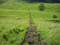 post-20472-0-90850800-1402634625_thumb.j