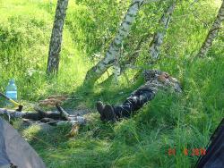 post-2202-0-35559900-1403534629_thumb.jp