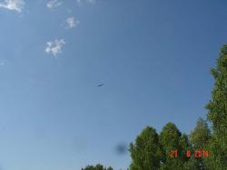 post-2202-0-44028100-1403534968_thumb.jp