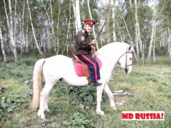 post-24568-0-53883400-1404101633_thumb.j