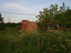 post-26941-0-04079300-1404158416_thumb.j