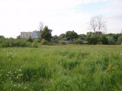 post-26941-0-19817100-1404158477_thumb.j