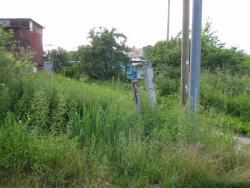 post-26941-0-31880000-1404158199_thumb.j