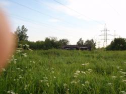 post-26941-0-38563100-1404158303_thumb.j