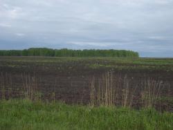 post-27127-0-20682200-1402634059_thumb.j