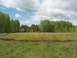 post-27127-0-29276000-1402635258_thumb.j