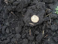 post-27127-0-37334700-1402634246_thumb.j