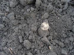 post-27127-0-55872700-1402634245_thumb.j