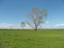 post-27127-0-69996500-1402635259_thumb.j