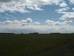 post-27127-0-89038600-1402635258_thumb.j