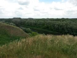 post-27784-0-22719100-1402904588_thumb.j