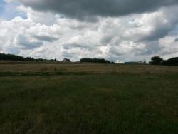 post-27784-0-57498000-1402904591_thumb.j