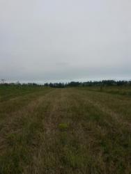 post-27784-0-64266800-1404041342_thumb.j