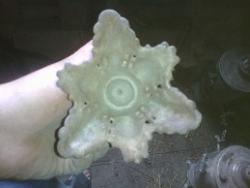 post-27997-0-22094800-1404152049_thumb.j