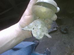 post-27997-0-40383900-1404152049_thumb.j