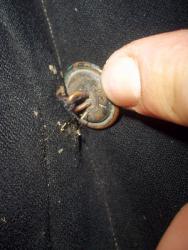 post-27997-0-44356300-1404150809_thumb.j