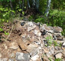 post-29656-0-02977600-1402581910_thumb.j