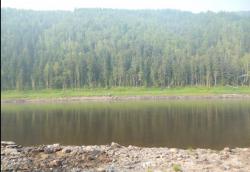 post-29656-0-14660300-1403999854_thumb.j