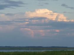 post-29708-0-14810100-1402314799_thumb.j