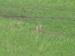 post-29708-0-20193100-1402314777_thumb.j