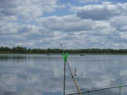 post-29708-0-39752800-1402314792_thumb.j