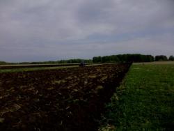 post-29871-0-77880200-1402392396_thumb.j