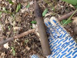 post-30012-0-24438400-1402953167_thumb.j