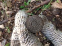 post-30012-0-90190500-1402953153_thumb.j