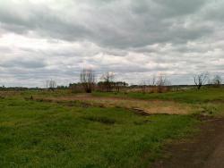 post-30435-0-31601200-1401676861_thumb.j