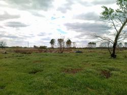 post-30435-0-69388700-1401676868_thumb.j