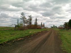 post-30435-0-77072100-1401676910_thumb.j