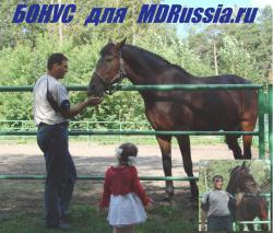 post-3053-0-68109400-1402040666_thumb.jp