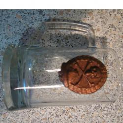 post-30557-0-87376700-1403094620_thumb.j