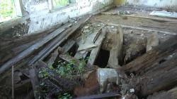 post-31186-0-03005200-1401947459_thumb.j