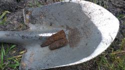 post-31186-0-04981100-1403805790_thumb.j