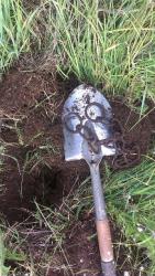 post-31186-0-08516700-1403806067_thumb.j