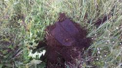 post-31186-0-18498500-1403806020_thumb.j