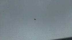 post-31186-0-47656200-1403079840_thumb.j