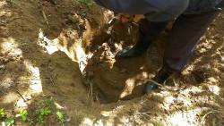 post-31186-0-53707300-1404115519_thumb.j