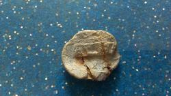 post-31186-0-61784700-1402827155_thumb.j