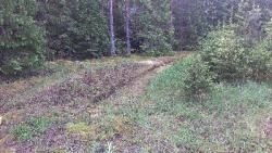 post-31186-0-65257500-1402480326_thumb.j