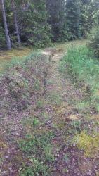 post-31186-0-83277700-1402480313_thumb.j