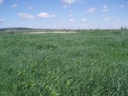 post-31466-0-13580700-1403773494_thumb.j