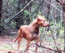 post-31539-0-78975900-1402172348_thumb.j