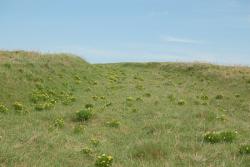 post-3292-0-54725000-1401783917_thumb.jp