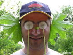 post-4485-0-46228100-1401818619_thumb.jp